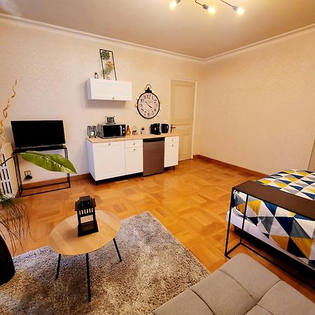 Superbe Appartement Calme Et Spacieux Graulhet ภายนอก รูปภาพ